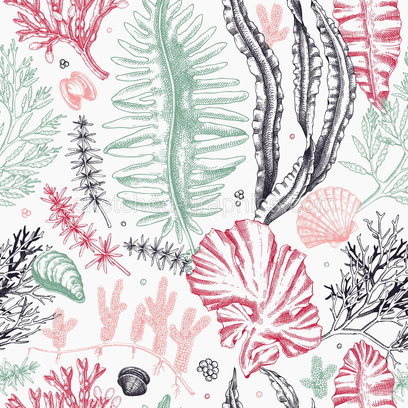 Sea life vector background. Edible seaweed seamless pattern. Hand-drawn kelp, kombu, wakame, hijiki, seashells illustrations. Underwater algae sketch style. For print, menu design or wrapping Illustration
